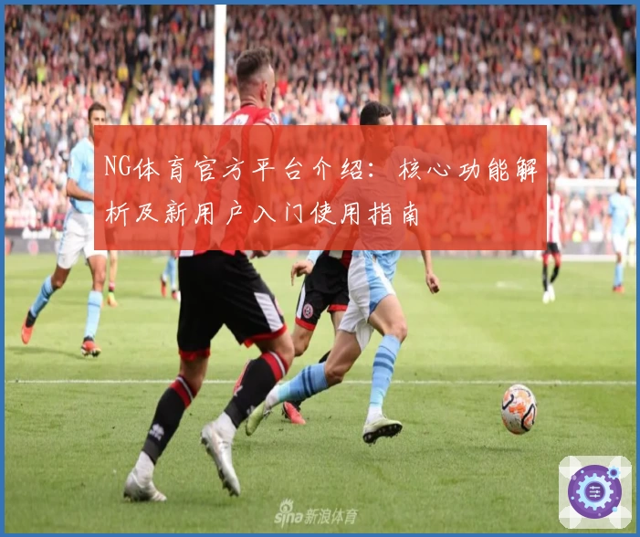 NG体育官方平台介绍：核心功能解析及新用户入门使用指南