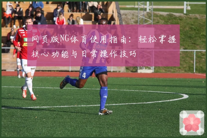 网页版NG体育使用指南：轻松掌握核心功能与日常操作技巧
