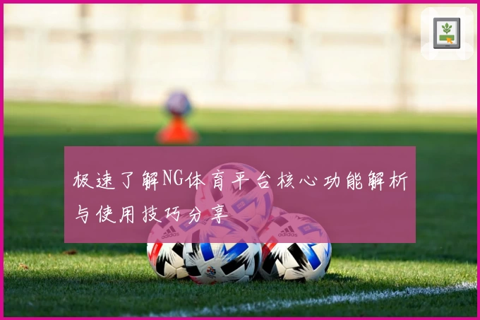 极速了解NG体育平台核心功能解析与使用技巧分享
